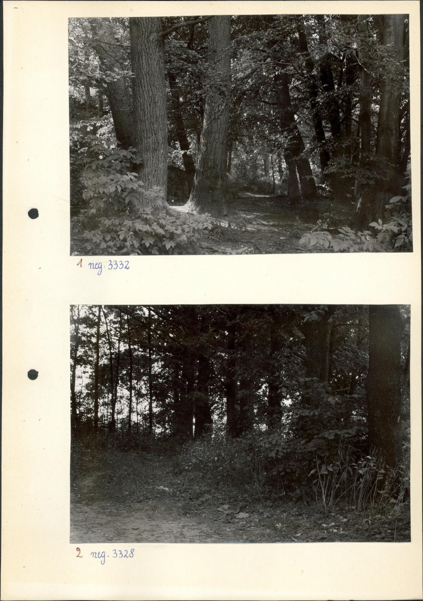 Ewidencja parkowa, skan nr 12