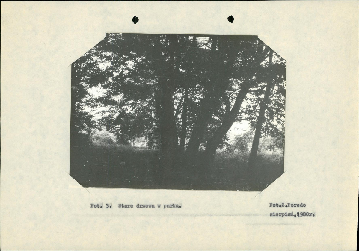 Ewidencja parkowa, skan nr 16