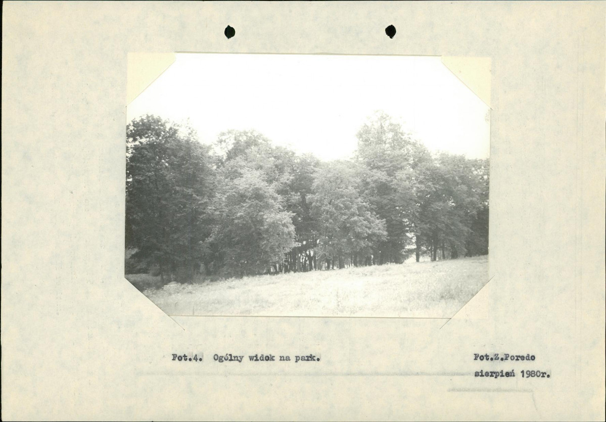 Ewidencja parkowa, skan nr 17