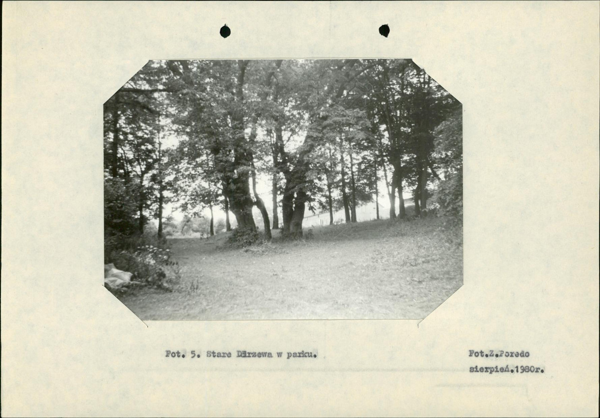 Ewidencja parkowa, skan nr 18