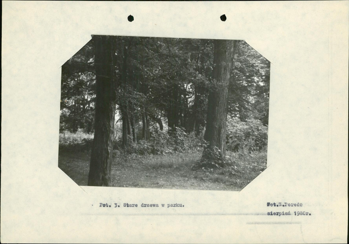 Ewidencja parkowa, skan nr 17