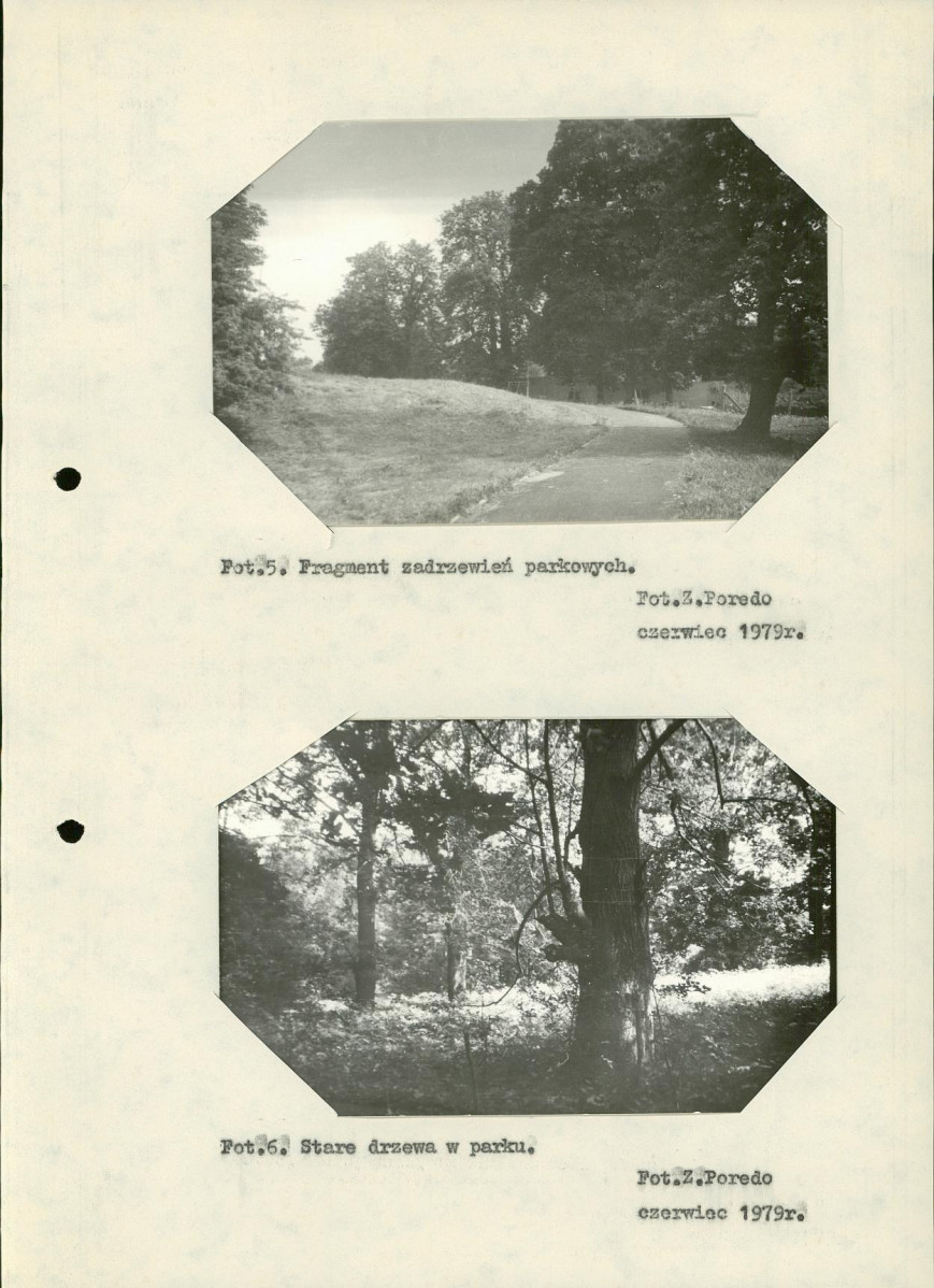 Ewidencja parkowa, skan nr 21