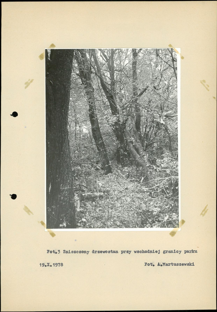 Ewidencja parkowa, skan nr 22