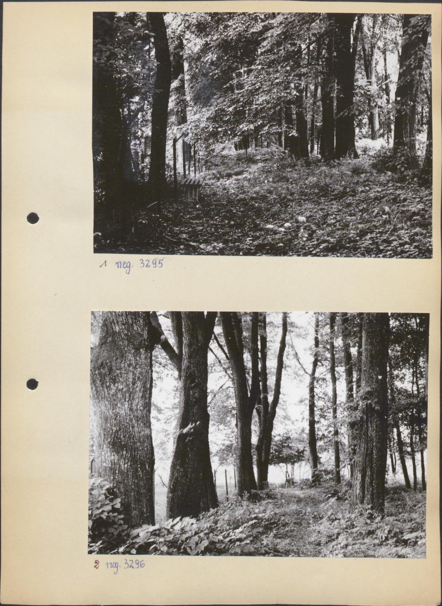 Ewidencja parkowa, skan nr 12