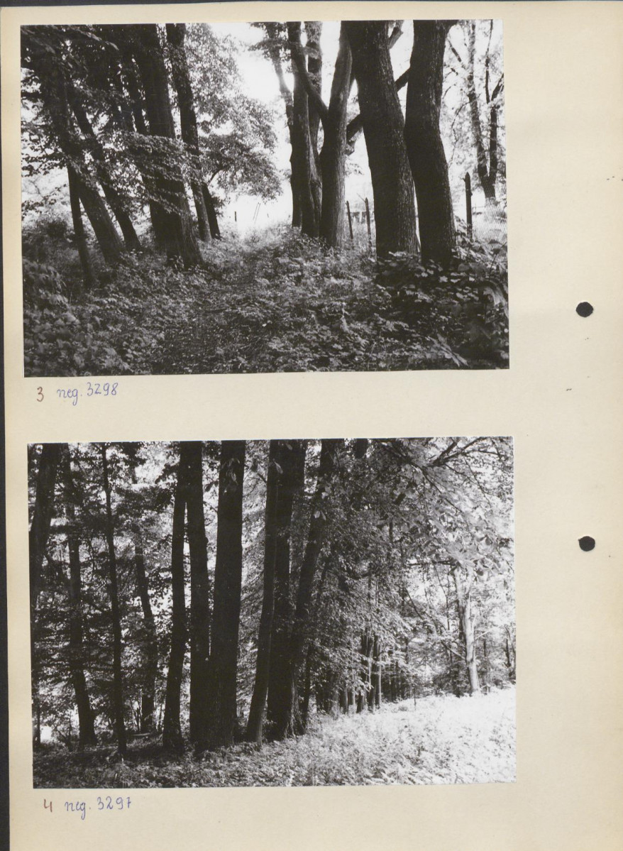 Ewidencja parkowa, skan nr 13