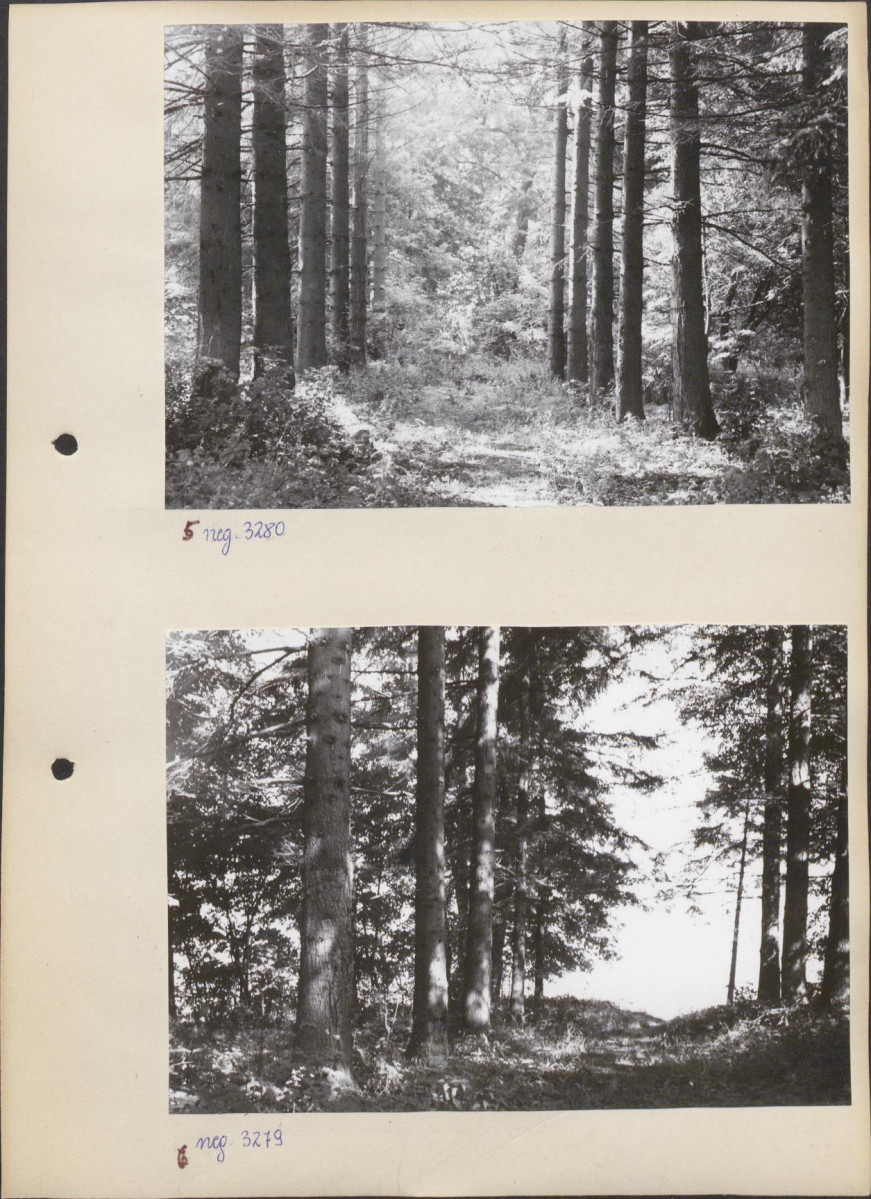 Ewidencja parkowa, skan nr 14