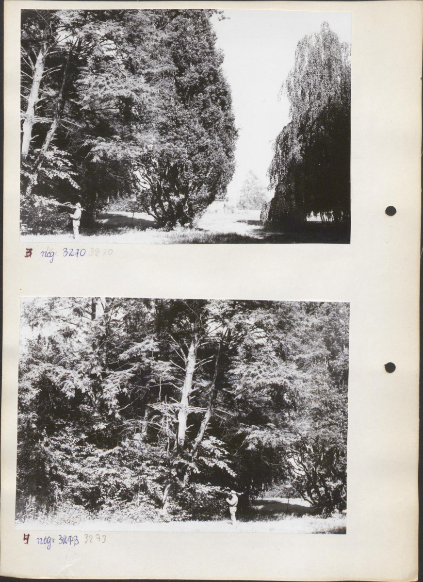 Ewidencja parkowa, skan nr 13