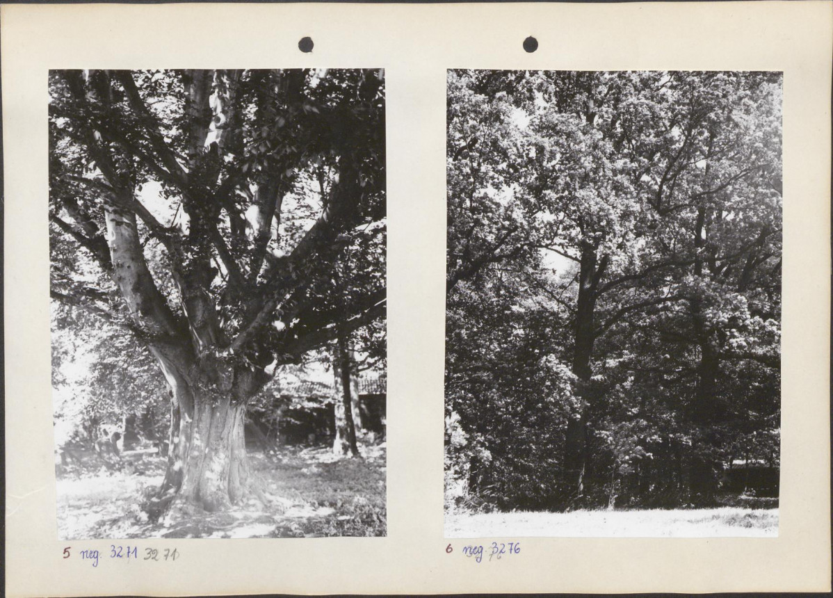 Ewidencja parkowa, skan nr 14