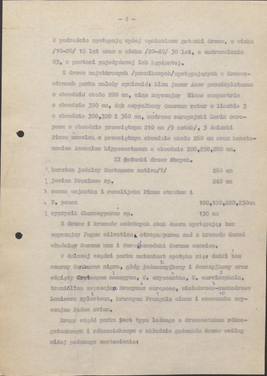 Ewidencja parkowa, skan nr 7