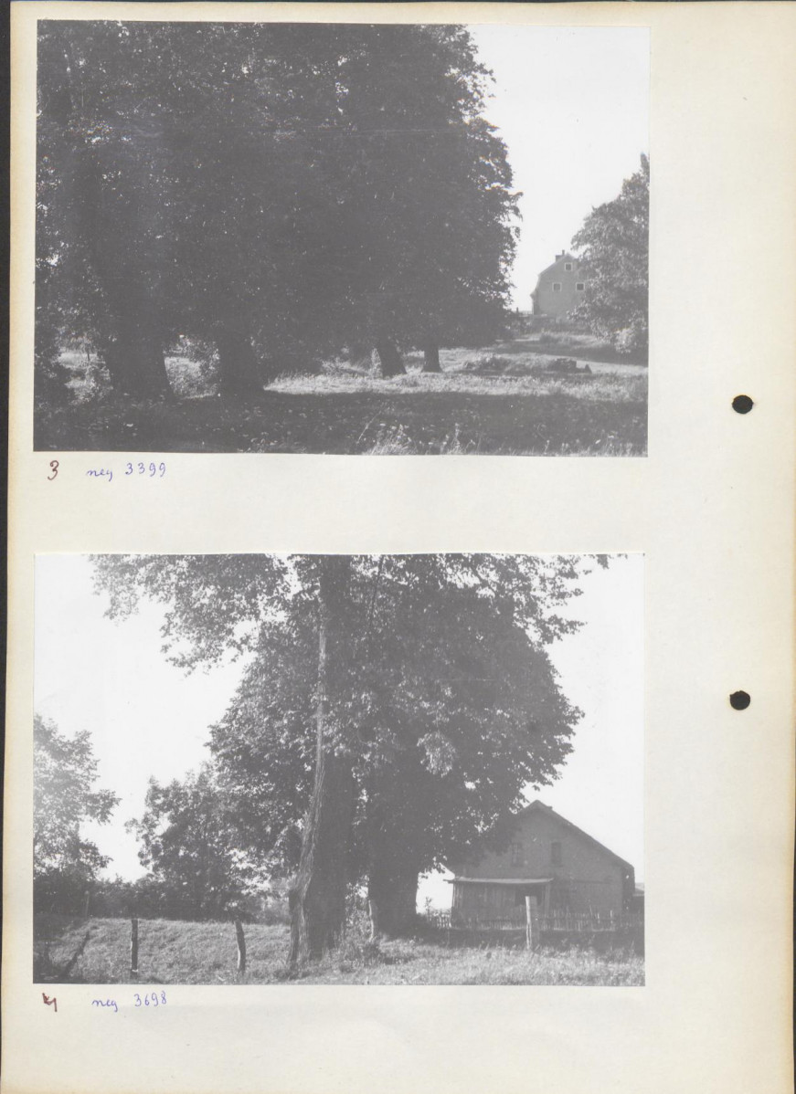 Ewidencja parkowa, skan nr 11