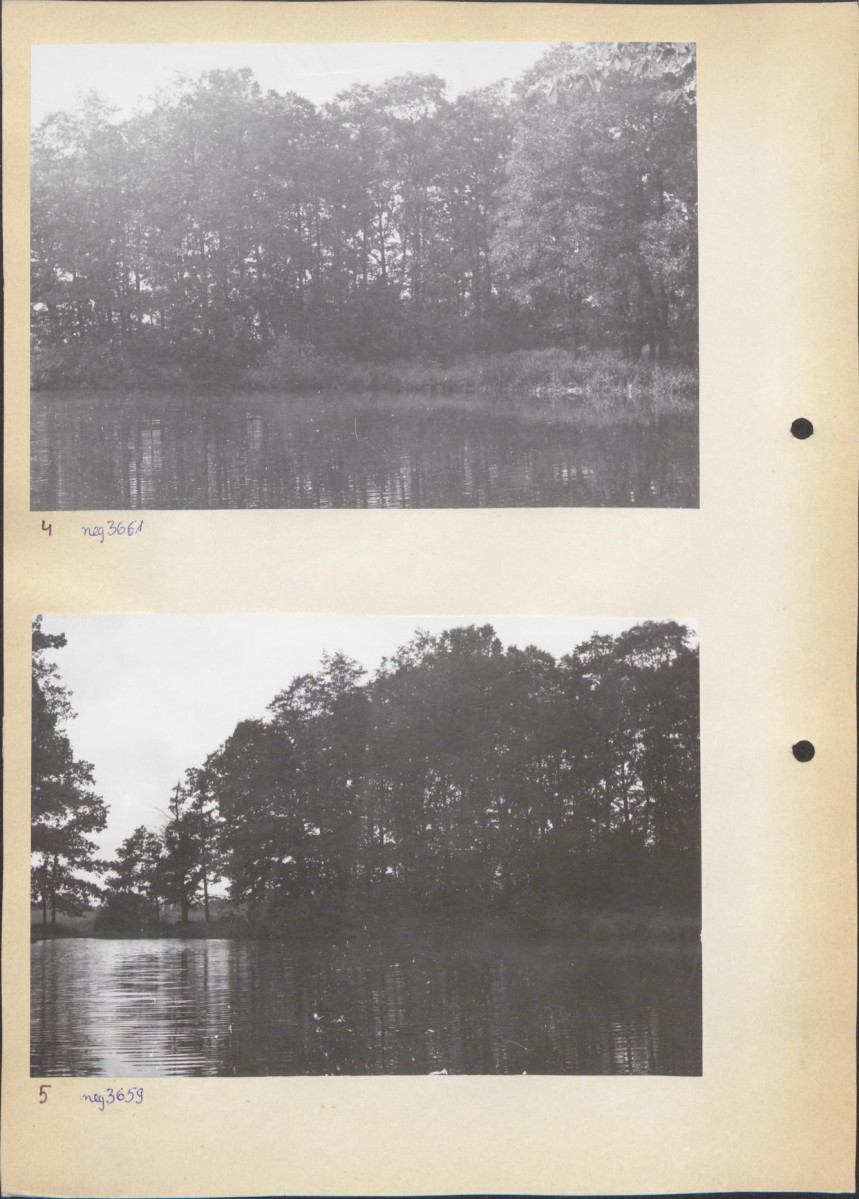 Ewidencja parkowa, skan nr 14