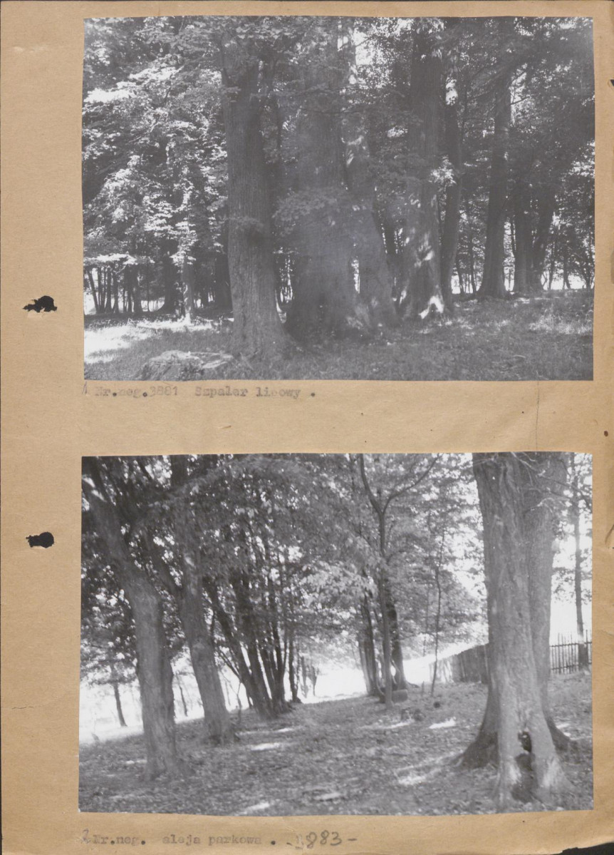 Ewidencja parkowa, skan nr 14