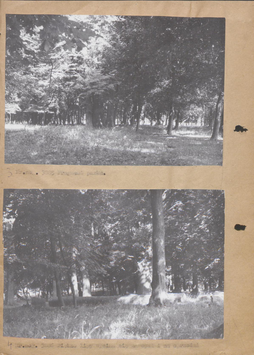 Ewidencja parkowa, skan nr 15