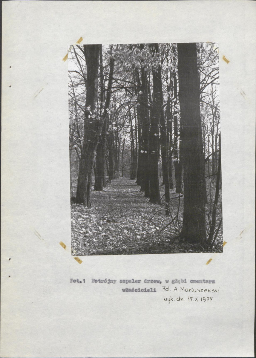 Ewidencja parkowa, skan nr 24