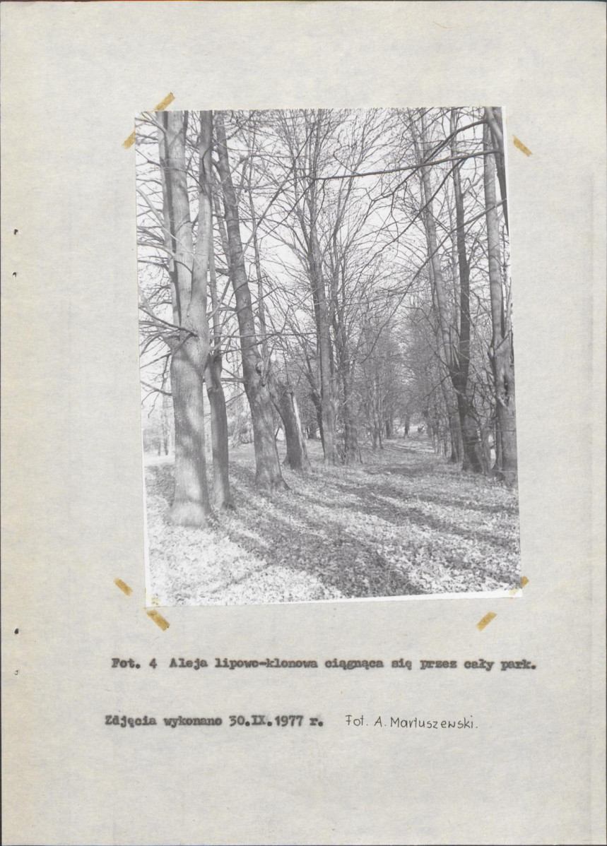 Ewidencja parkowa, skan nr 24