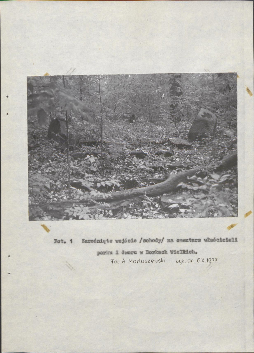 Ewidencja parkowa, skan nr 25