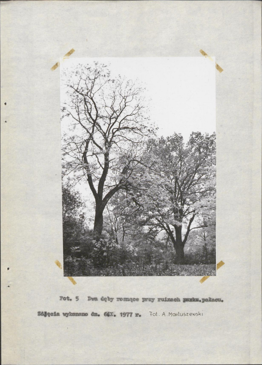 Ewidencja parkowa, skan nr 29