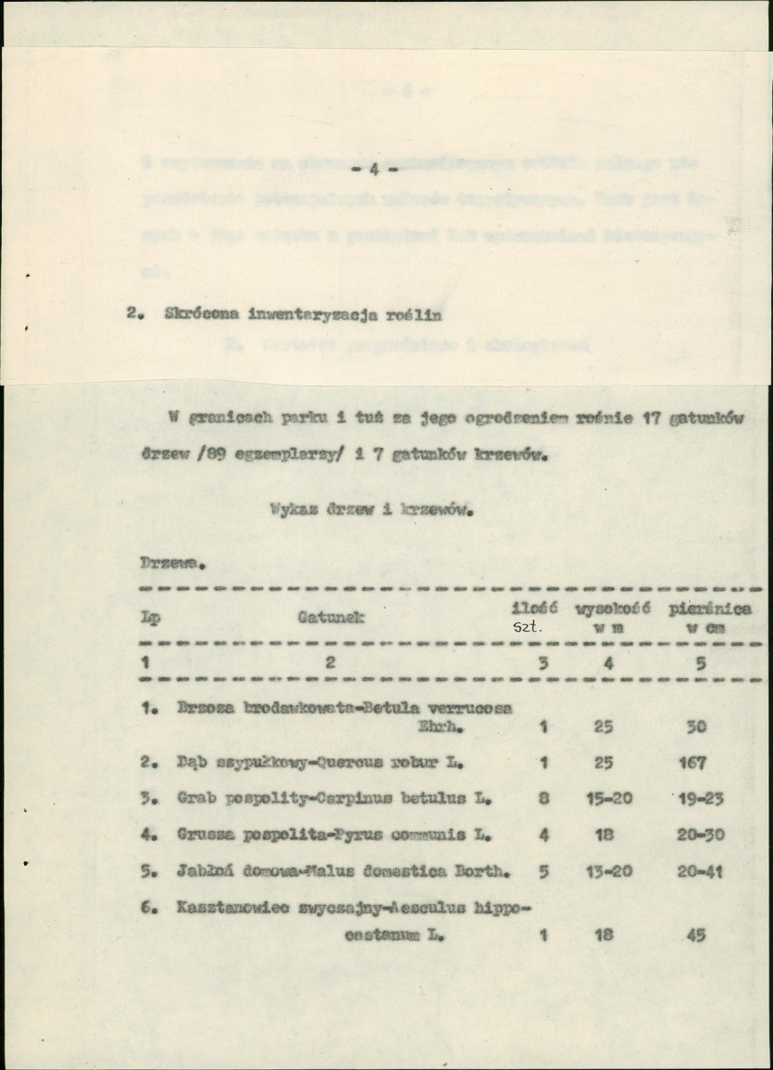 Ewidencja parkowa, skan nr 13