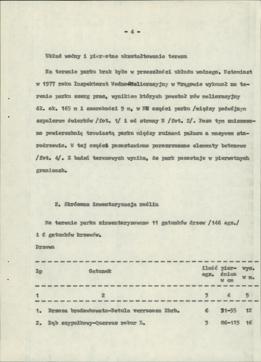Ewidencja parkowa, skan nr 13