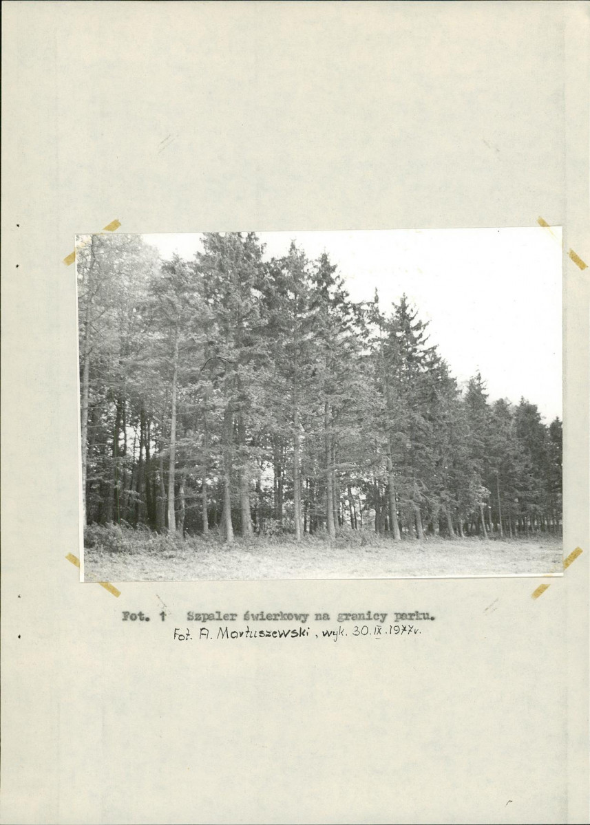 Ewidencja parkowa, skan nr 22