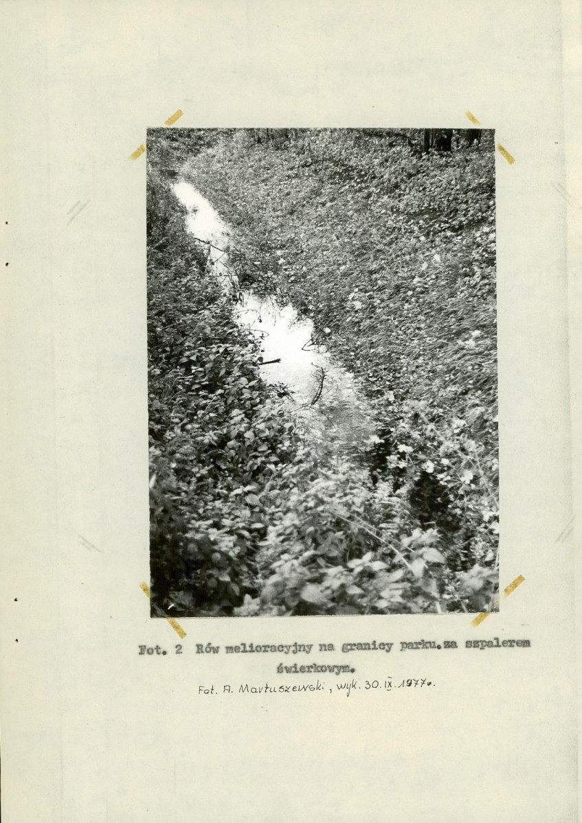 Ewidencja parkowa, skan nr 23