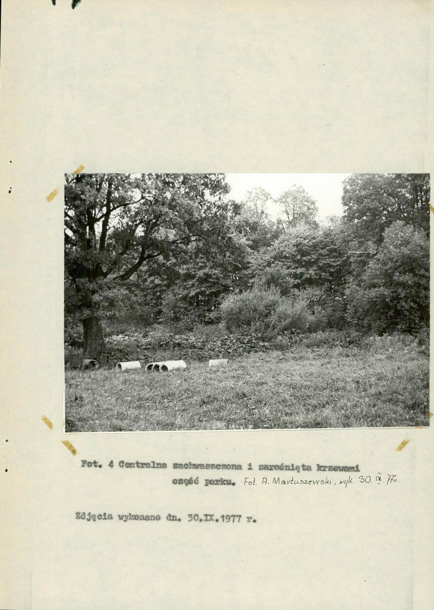 Ewidencja parkowa, skan nr 25