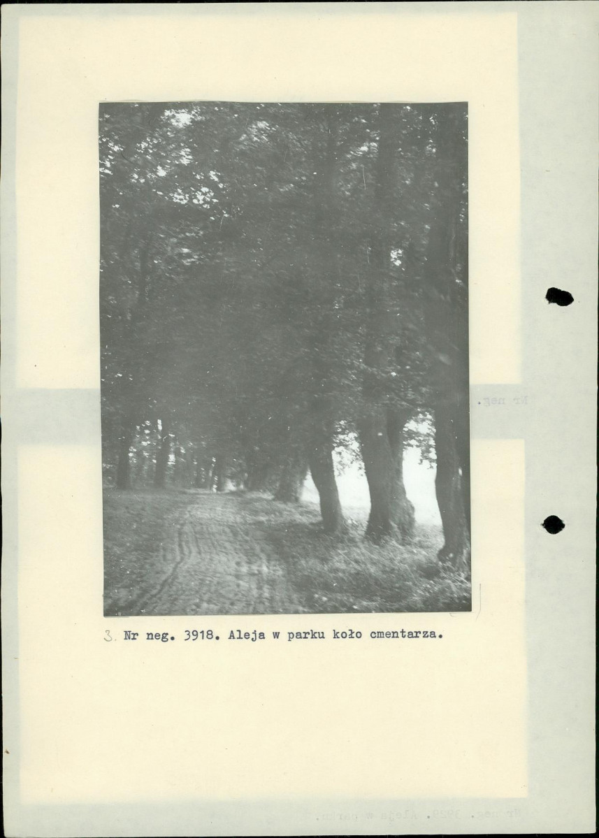 Ewidencja parkowa, skan nr 17