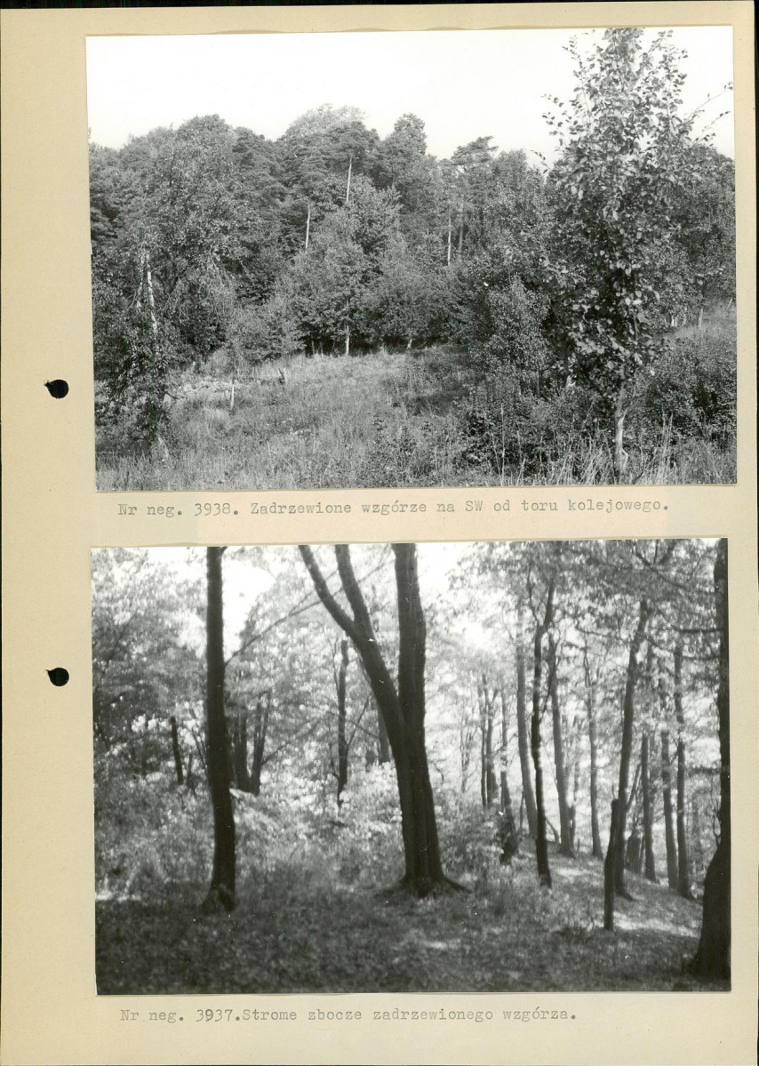 Ewidencja parkowa, skan nr 15