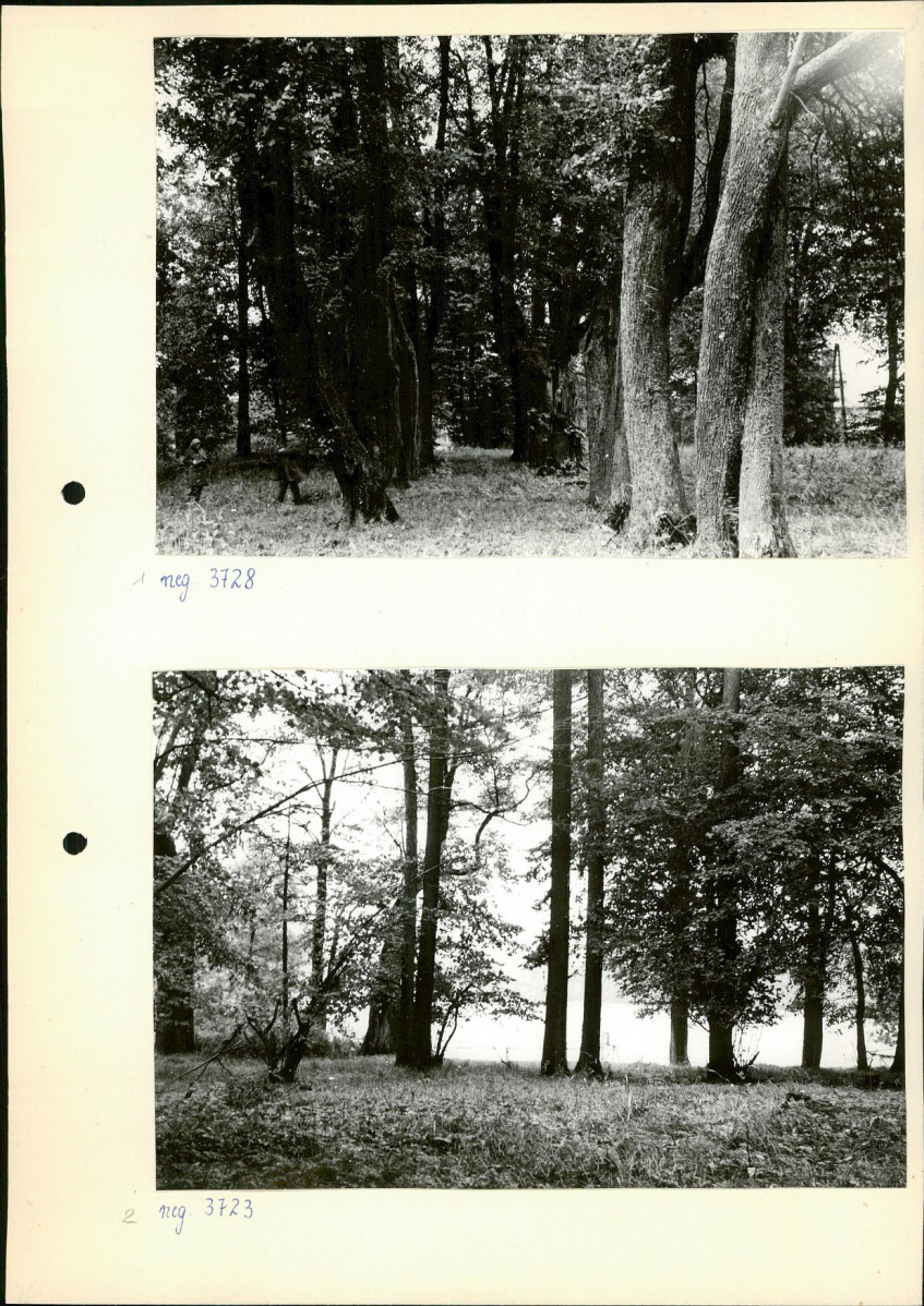 Ewidencja parkowa, skan nr 13