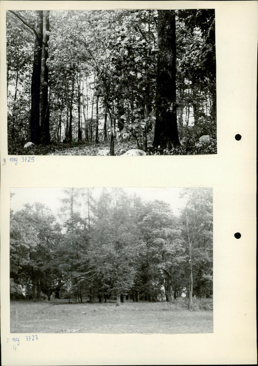 Ewidencja parkowa, skan nr 14