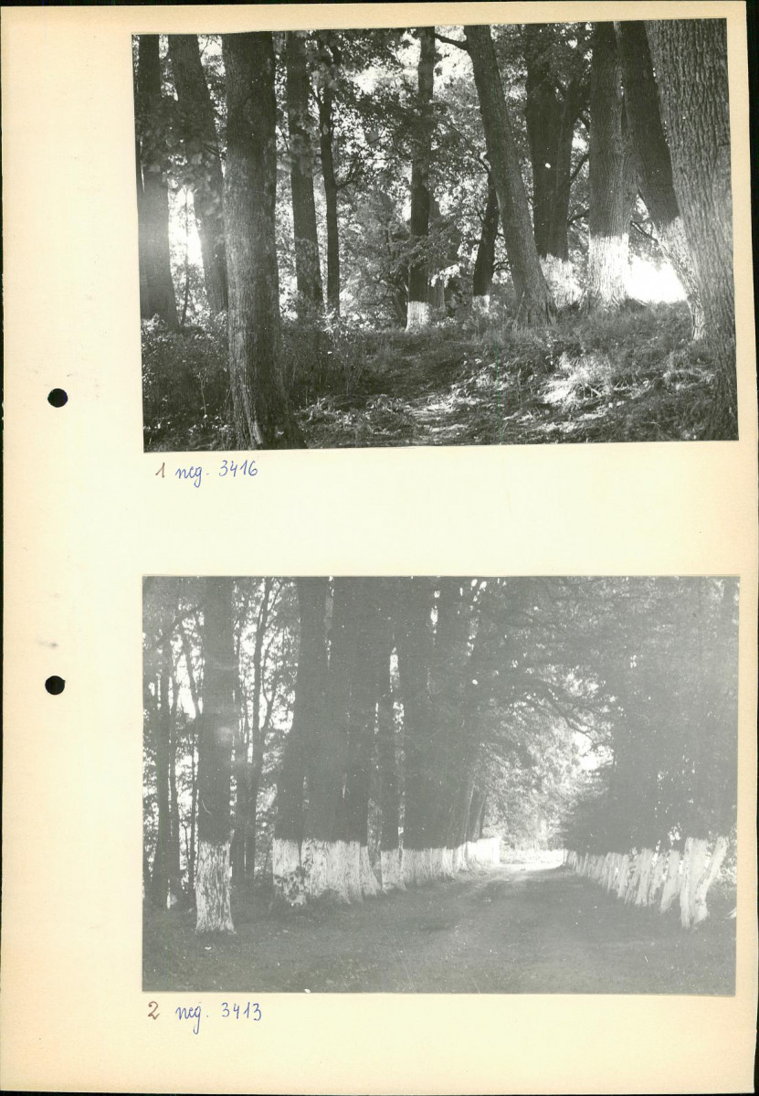 Ewidencja parkowa, skan nr 13
