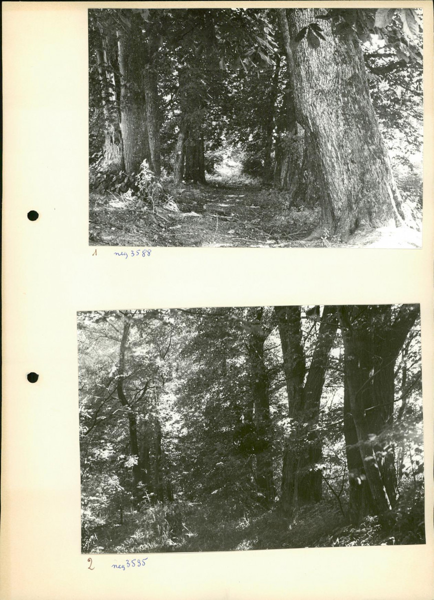 Ewidencja parkowa, skan nr 13