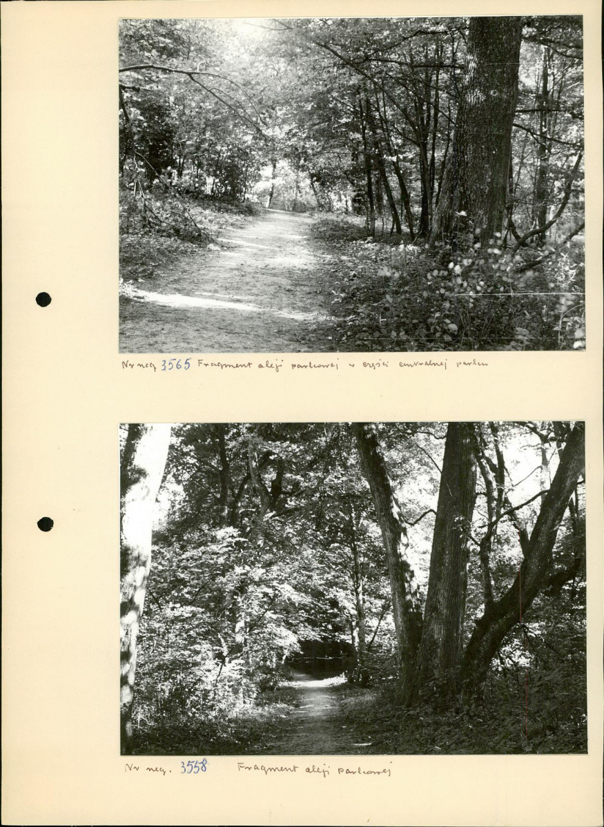 Ewidencja parkowa, skan nr 13