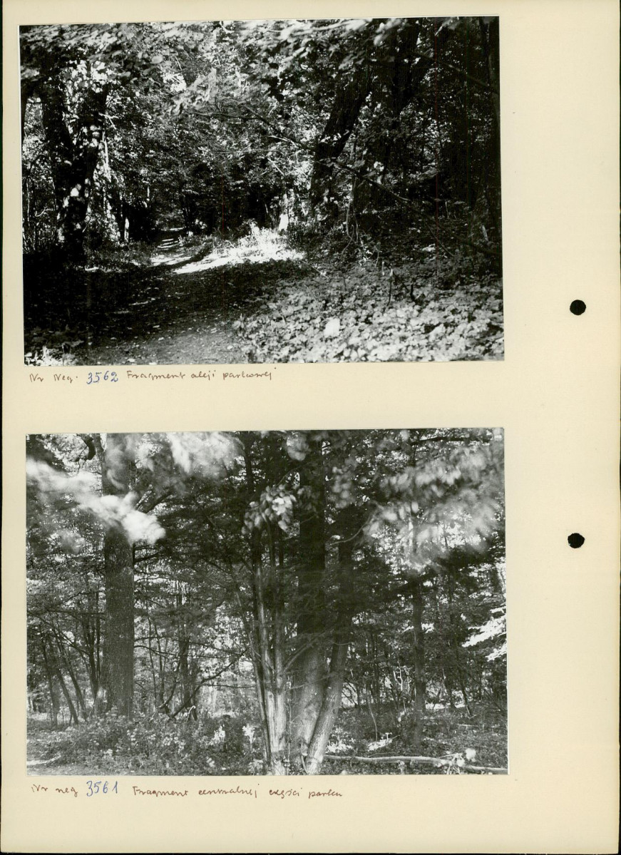 Ewidencja parkowa, skan nr 14