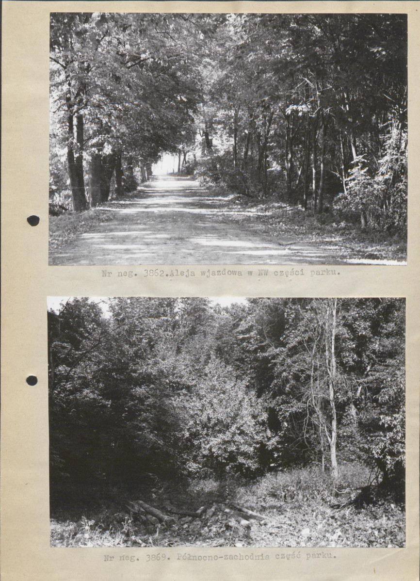Ewidencja parkowa, skan nr 12