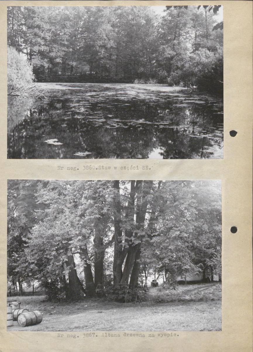Ewidencja parkowa, skan nr 13
