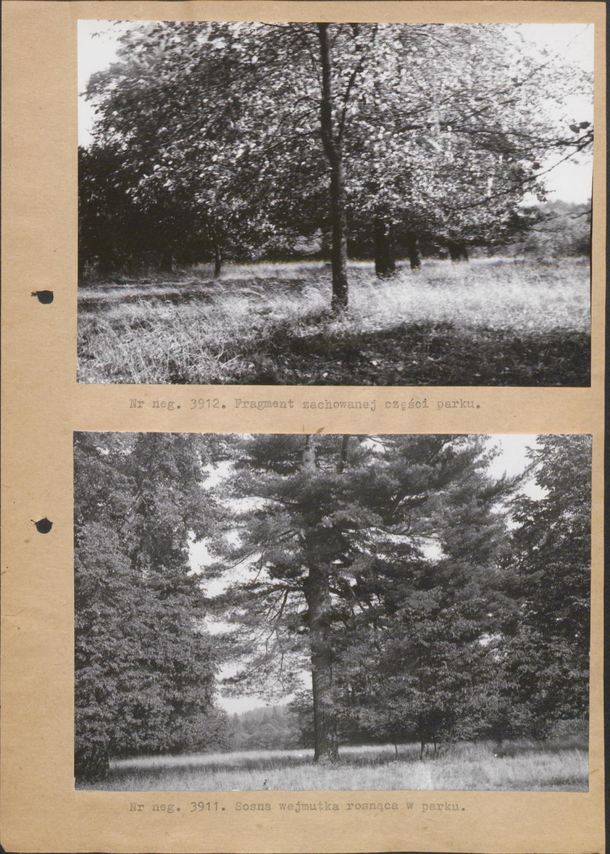 Ewidencja parkowa, skan nr 12