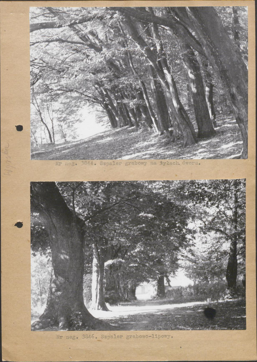 Ewidencja parkowa, skan nr 12