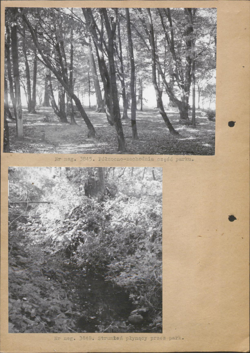 Ewidencja parkowa, skan nr 13