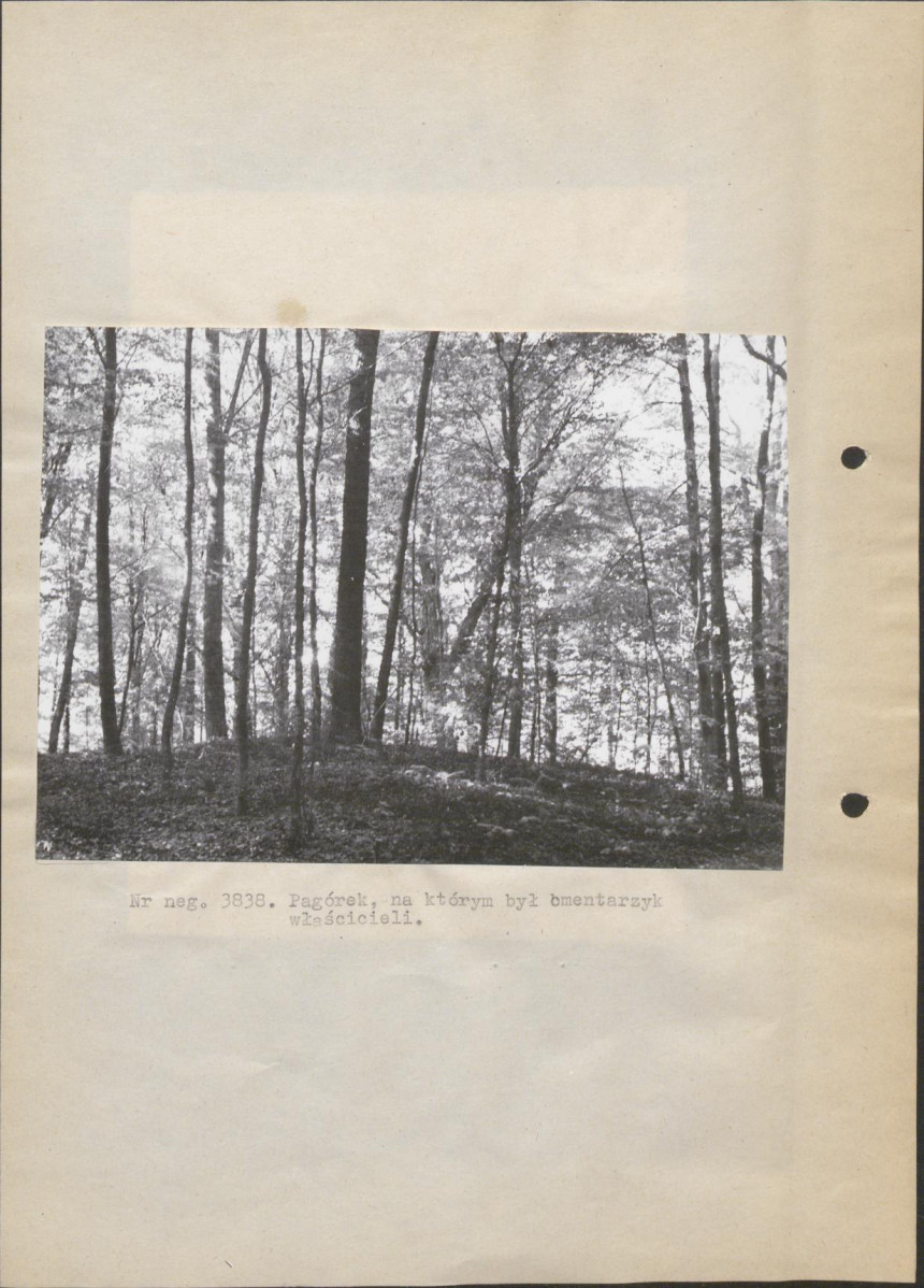 Ewidencja parkowa, skan nr 14