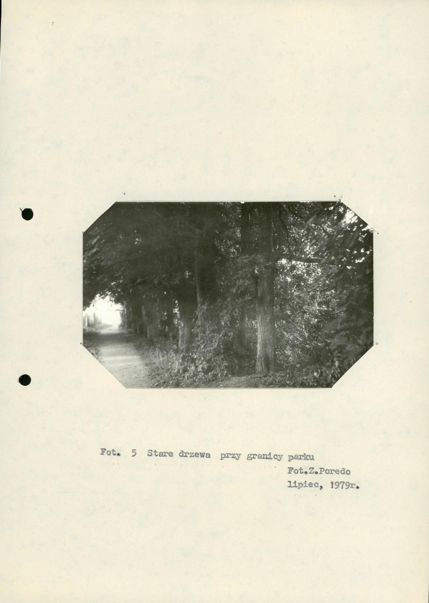 Ewidencja parkowa, skan nr 23