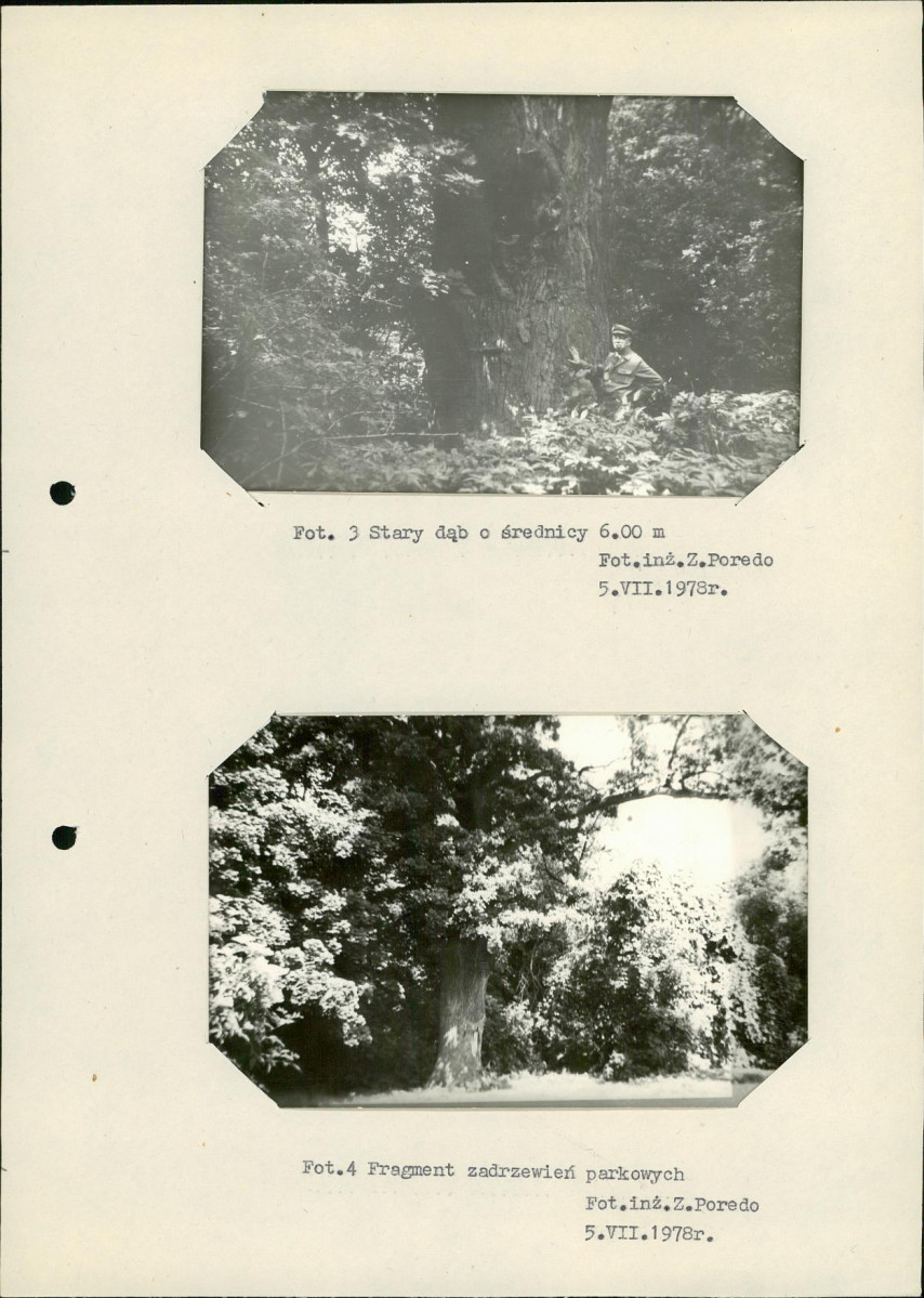 Ewidencja parkowa, skan nr 23