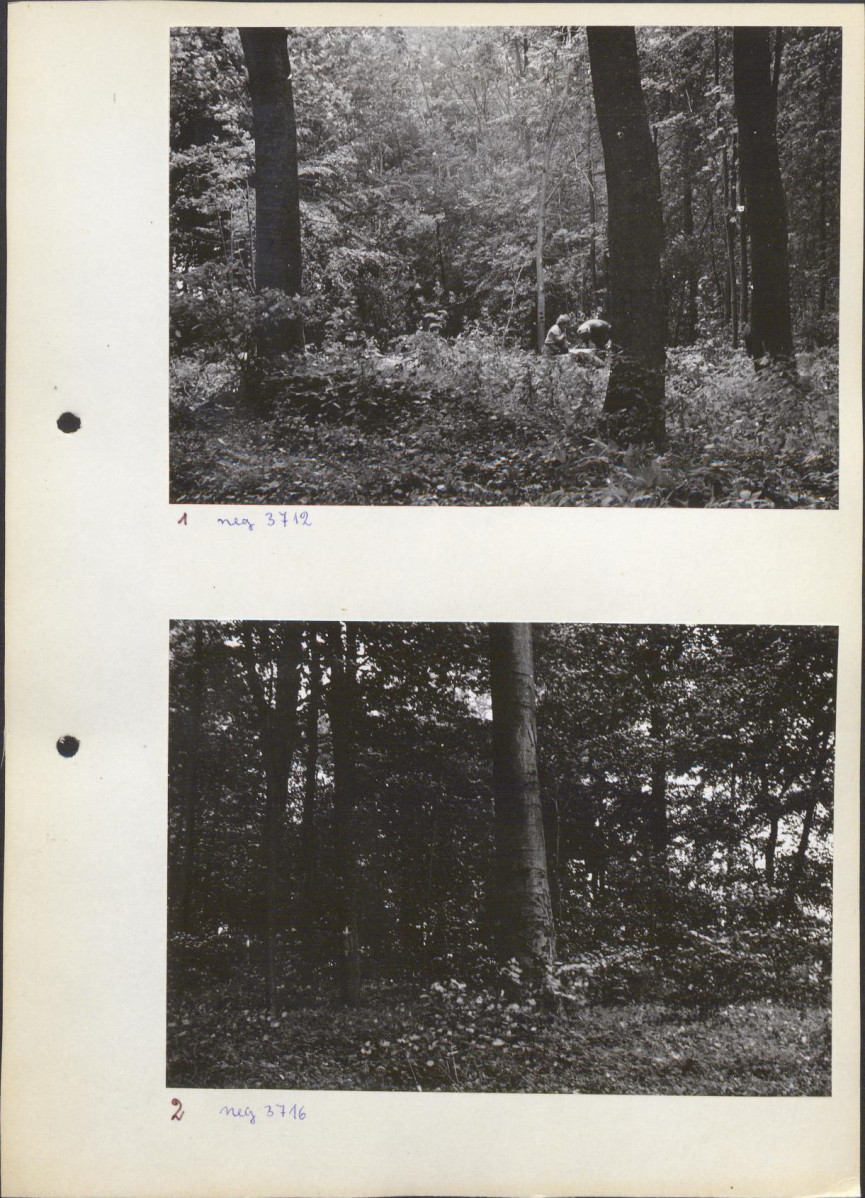 Ewidencja parkowa, skan nr 14