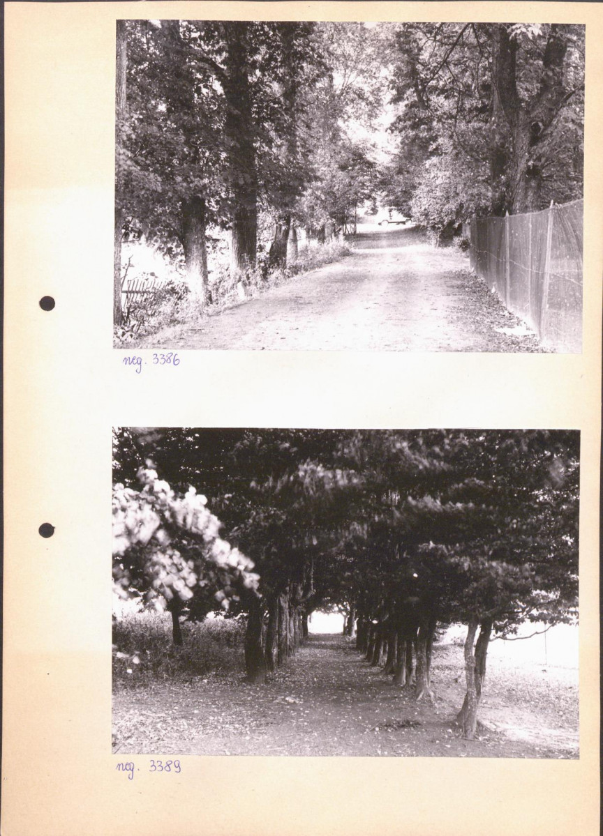 Ewidencja parkowa, skan nr 12
