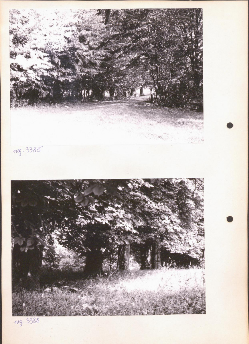 Ewidencja parkowa, skan nr 13