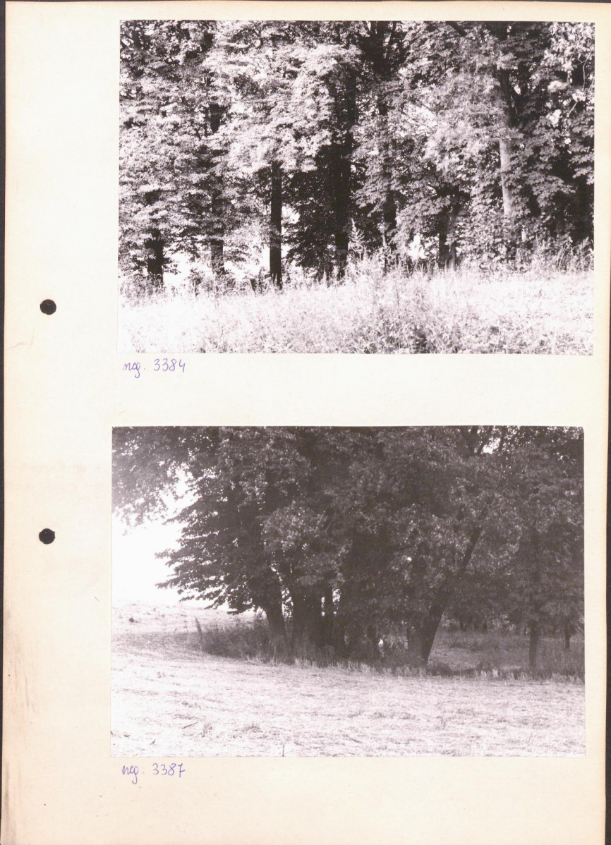Ewidencja parkowa, skan nr 14