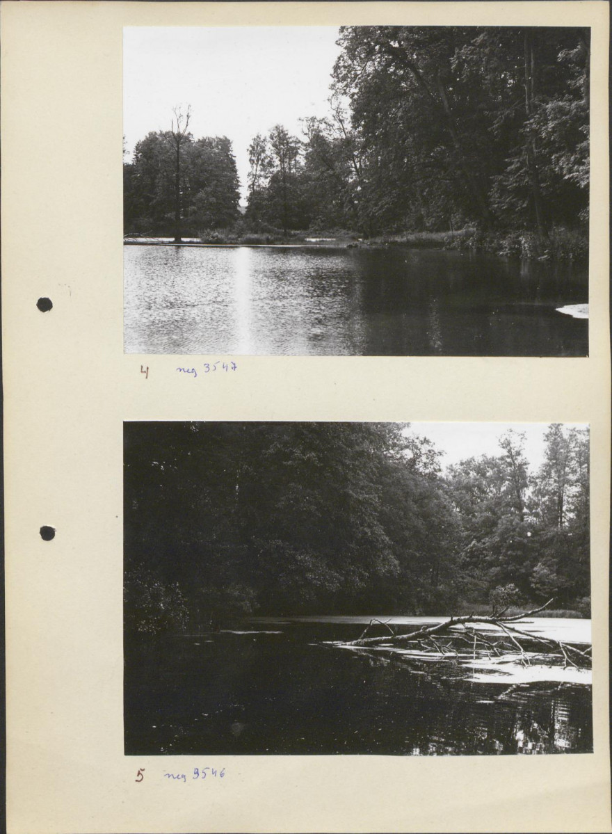 Ewidencja parkowa, skan nr 14