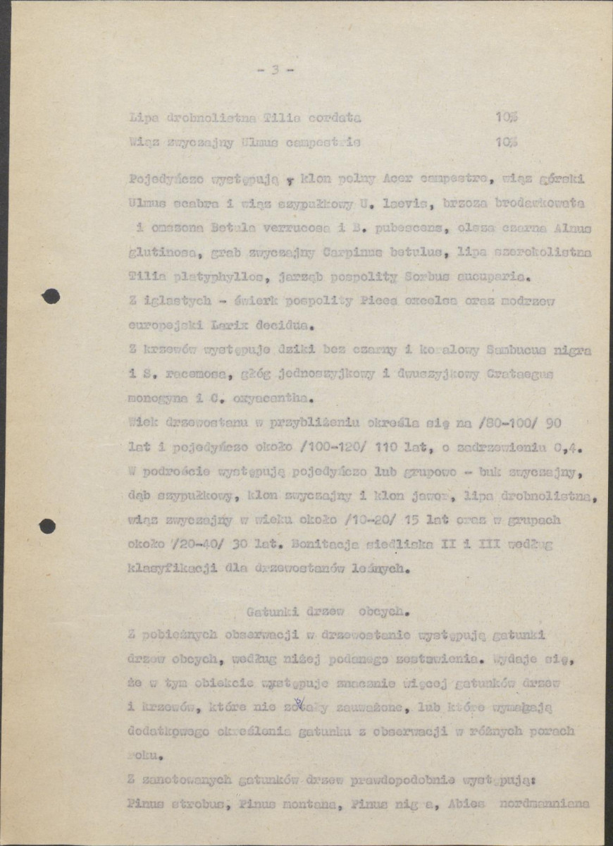 Ewidencja parkowa, skan nr 6