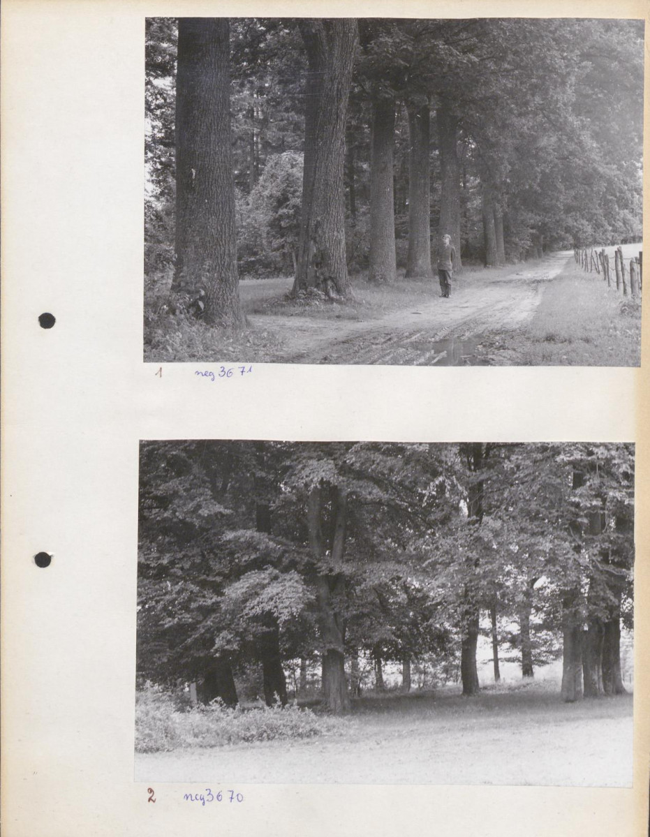 Ewidencja parkowa, skan nr 12