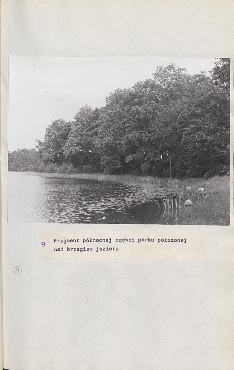 Ewidencja parkowa, skan nr 32
